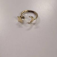 Anel, segundo informou IKEA Amsterdam usando iLost