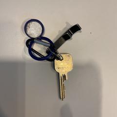 Chiavi, come riportato da Gemeente Amsterdam - Bureau Gevonden Voorwerpen utilizzando iLost