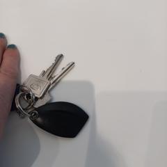 Chiavi Zwart plaatje, come riportato da Arriva Limburg Zuid utilizzando iLost