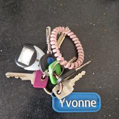 Sleutels, som rapporterats till iLost