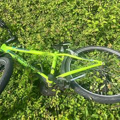 Rockrider fiets, come riportato a iLost