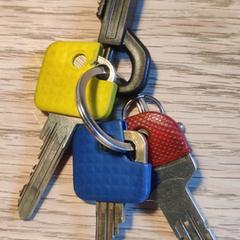 Sleutels rood-geel-blauw, segons s'ha informat a iLost