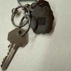 Nøkkel, som rapportert av HTM ved bruk av iLost