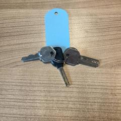 Nøkler, som rapportert av Pathé Zwolle ved bruk av iLost