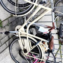 Bicicleta de mujer robuust, ha sido reportado por Stadswerk072 con iLost