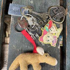 Sleutelbos van Kim, as reported to iLost