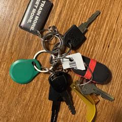 Sleutelbos, come riportato a iLost