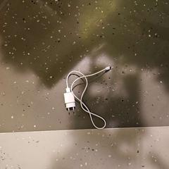 Adaptador, segons ha informat Room Mate Bruno mitjançant iLost