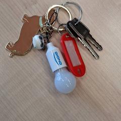 Clau cle, segons ha informat IKEA Dijon mitjançant iLost