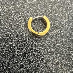 Náušnica goud, ako bolo nahlásené VITAZ campus Sint-Niklaas pomocou iLost