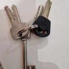 Sleutelbos, som rapportert av allGo Almere ved bruk av iLost