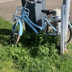 Lichtblauwe Cortina jeugdfiets, amint azt az iLostnak jelentették.