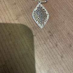 Ohrring, gemeldet von Pathé Arnhem über iLost