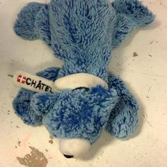 Kuschelbär Blauw, gemeldet von Artis über iLost