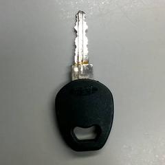 Kulcs, amint azt Burgers' Zoo az iLost segítségével jelentette.