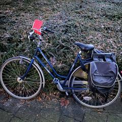 Damesfiets Blauw, met fietstassen MGI, rapporterat av Gemeente Zevenaar med iLost