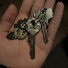 Sleutels, jak zgłoszono do iLost