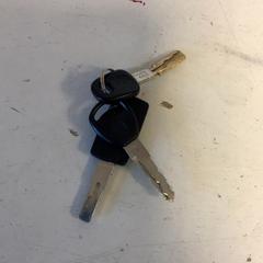 Sleutels Zwart, zoals gemeld door Artis met iLost