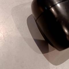 Earpods, zoals gemeld door De Efteling met iLost