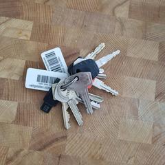 Sleutelbos, segundo informou a iLost