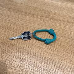 Nøkkel Zilver, som rapportert av Stad Hasselt ved bruk av iLost