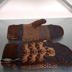 Gloves, as reported by Keolis Lund using iLost
