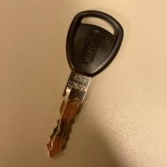 Nøkkel, som rapportert av Pathé Schiedam ved bruk av iLost