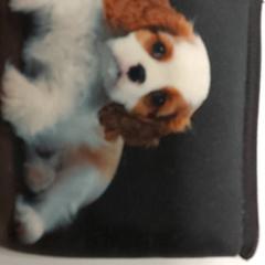 Wallet Willems, as reported by Regio West-Vlaanderen using iLost