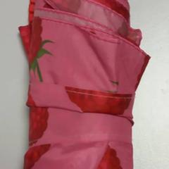 傘 がiLostで Arriva West-Brabant によって報告されました