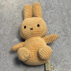 Knuffel, segundo informou Diakonessenhuis Utrecht usando iLost