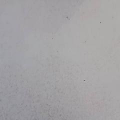 열쇠, iLost를 사용하여 De Efteling에 보고됨