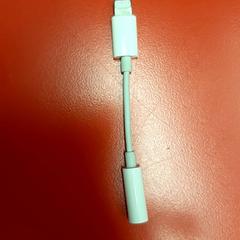 Verlengstuk, segons ha informat UvA REC mitjançant iLost