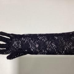 Glove - 091125 GAGA, as reported by Ziggo Dome using iLost