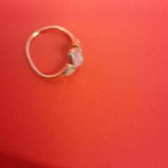 Ring, zoals gemeld door UvA REC met iLost