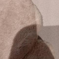 Peluche, ha sido reportado por De Efteling con iLost