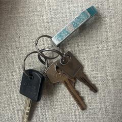 Sleutelbos, iLost'a bildirildiği gibi