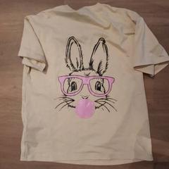Tshirt Met konijnen hoofd, som rapportert av Familiepark Drievliet ved bruk av iLost