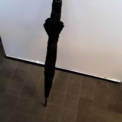 Esernyő Zwart, amint azt EBS Tramplein az iLost segítségével jelentette.