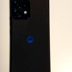 Smartphone-a, gisa salatu by Diergaarde Blijdorp iLost erabiliz