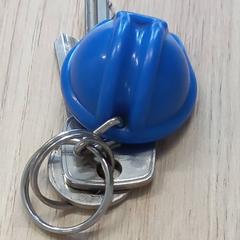 Sisak, amint azt Arriva West-Brabant az iLost segítségével jelentette.