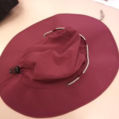 Regenhoed, zoals gemeld door Arriva Den-Bosch met iLost