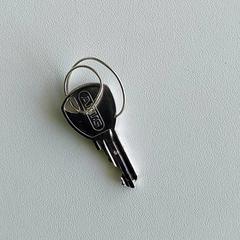 Sleutel، كما تم الإبلاغ عنه بواسطة Centraal magazijn عبر iLost