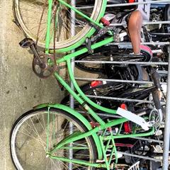 Bicicleta de mujer Groen, ha sido reportado por Stadswerk072 con iLost