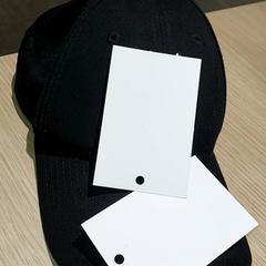 Vêtements - pet, a été signalé par Regio Antwerpen - Brussel utilisant iLost