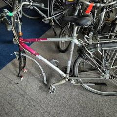 Herresykkel, som rapportert av Gemeente Roermond ved bruk av iLost