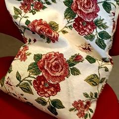 Bolsa, segundo informou U-OV Amersfoort usando iLost