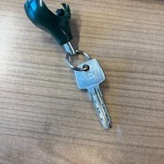 Llaves, ha sido reportado por ACTA con iLost