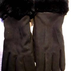 Handschoenen, zoals gemeld door EBS Tramplein met iLost