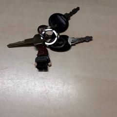 Claus, segons ha informat Arriva Oost-Brabant mitjançant iLost