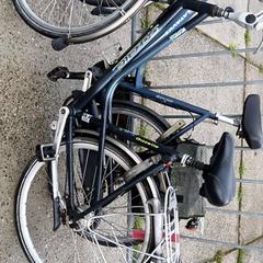Dámsky bicykel Gazelle, ako bolo nahlásené Stadswerk072 pomocou iLost